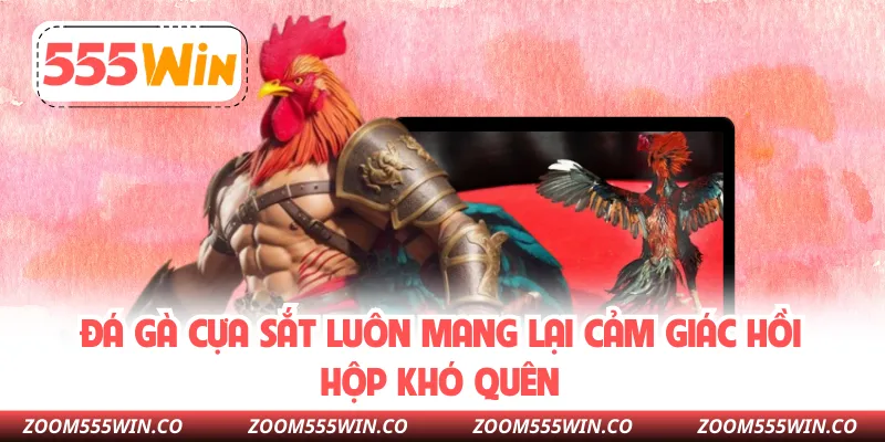 Đá Gà Cựa Sắt Luôn Mang Lại Cảm Giác Hồi Hộp Khó Quên