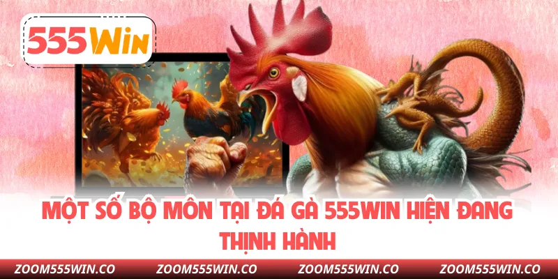 Một Số Bộ Môn Tại Đá Gà 555WIN Hiện Đang Thịnh Hành